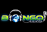 Bongo Radio African Grooves