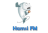 Hamsi FM (Espoo)
