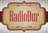 Radio Dur (Medvode)
