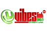 Vibes Link FM