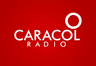 Caracol Radio