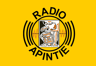 Radio Apintie